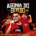 Vou Te Assumir