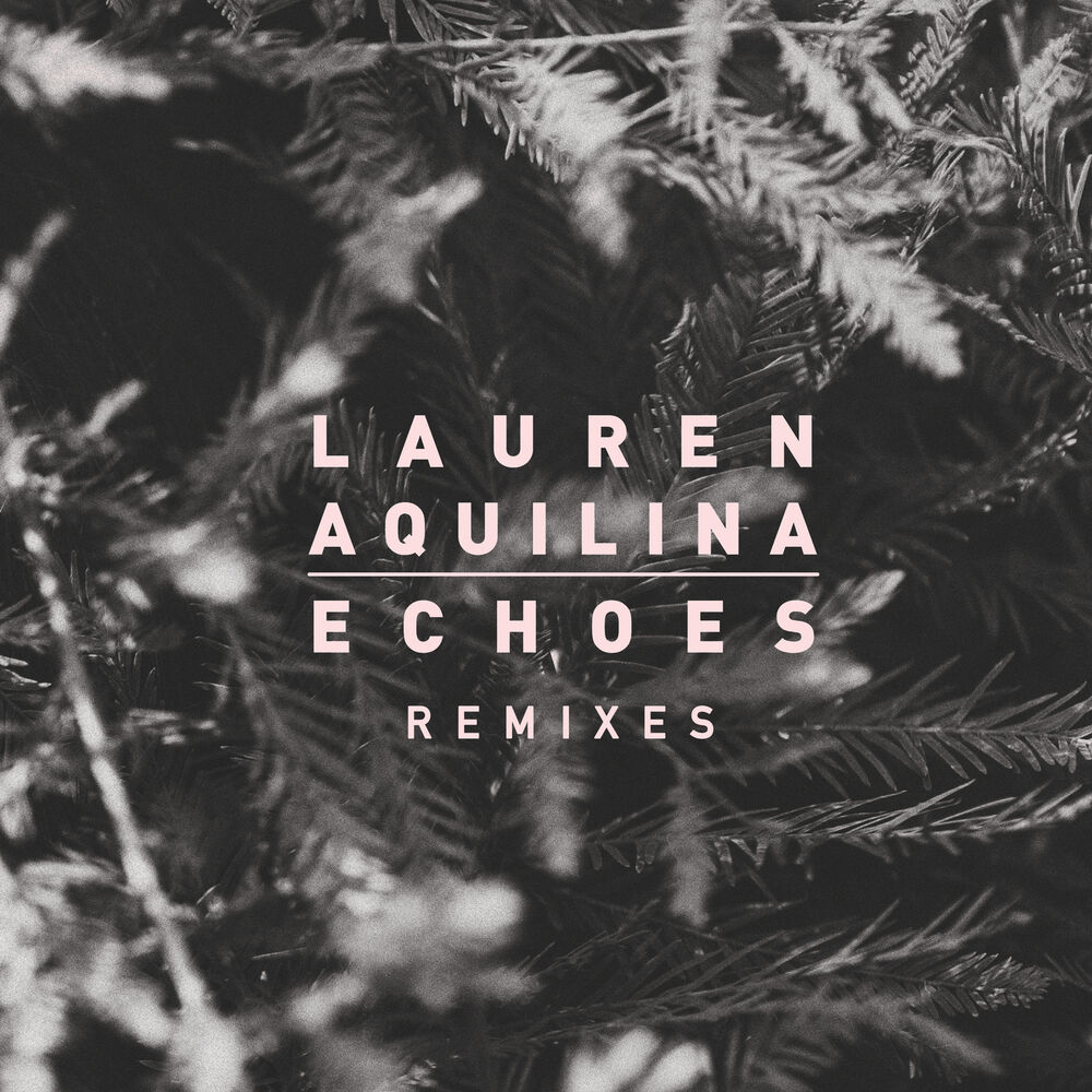 Picture of Echoes (Remixes)