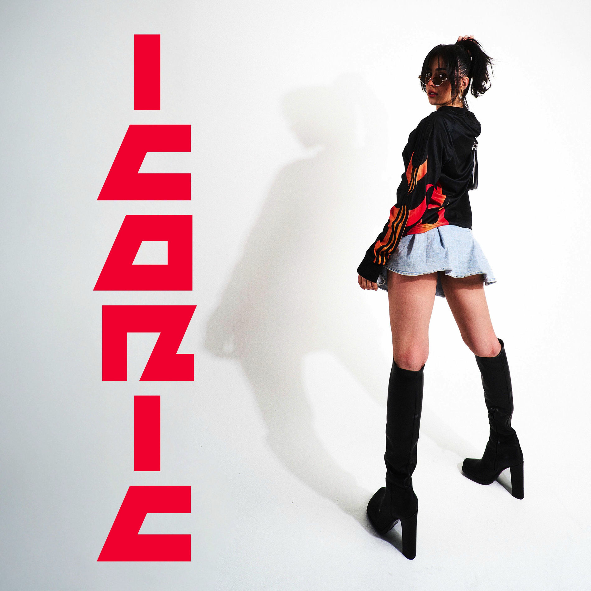 Album cover of Iconic