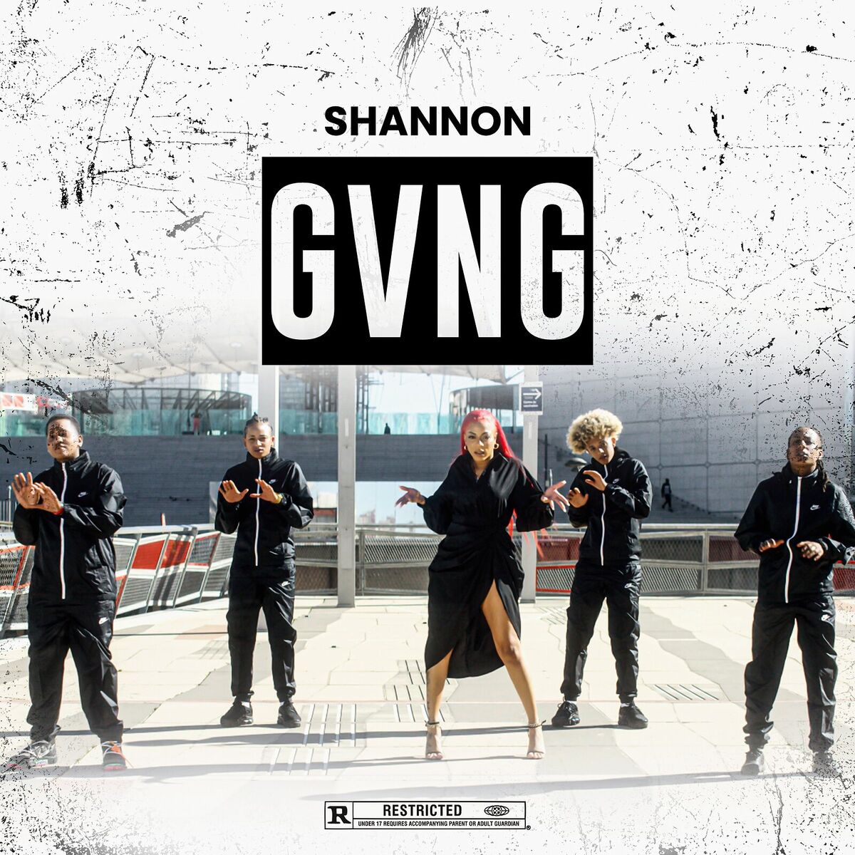 Album cover of GVNG