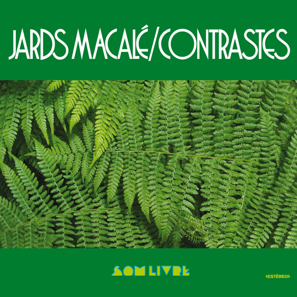 Picture of Contrastes