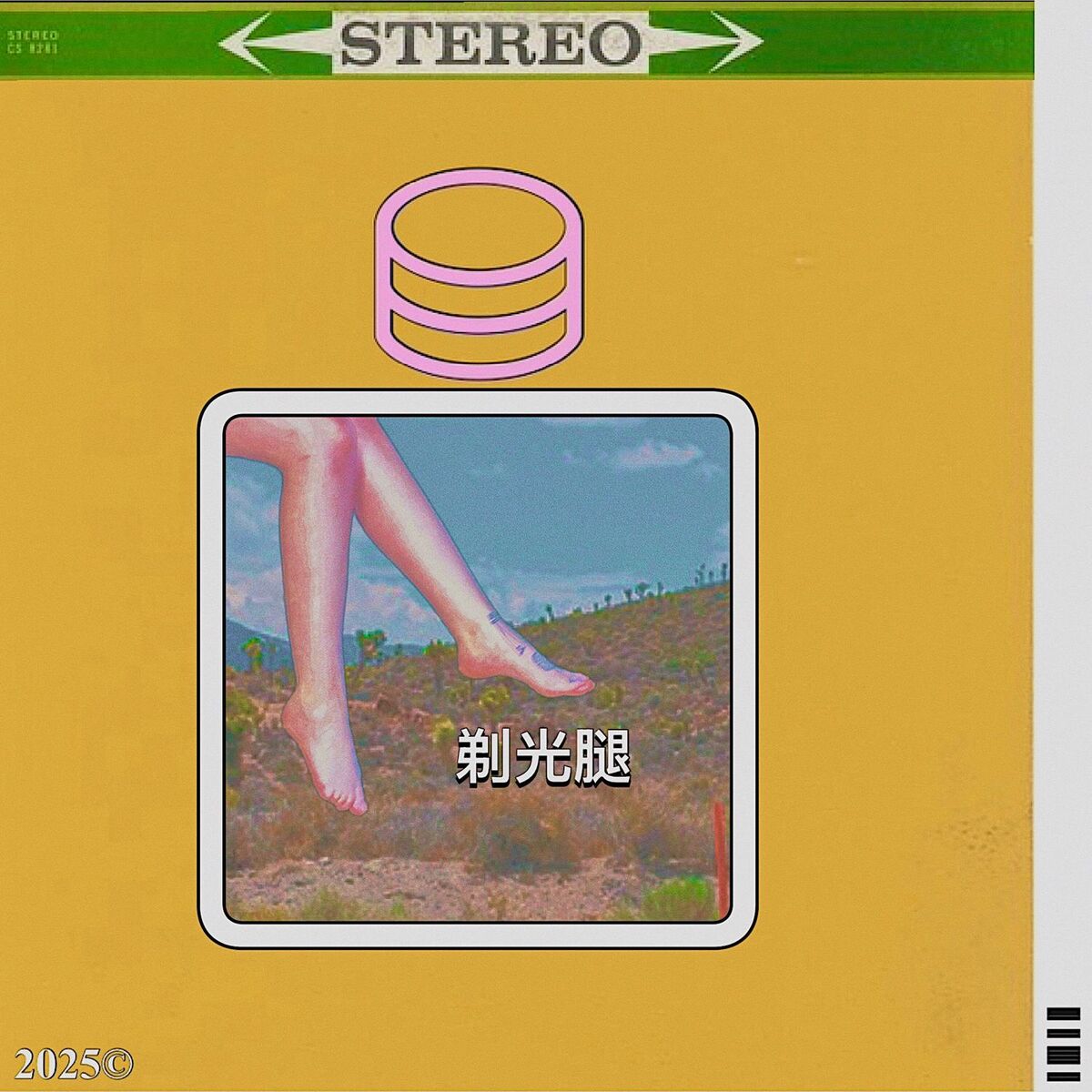 Album cover of shaved legs