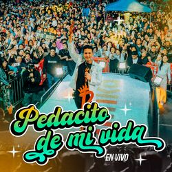 Cover of Pedacito de Mi Vida (En Vivo)