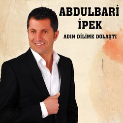 Cover of Adın Dilime Dolaştı