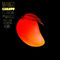 MANGO (Louis Futon & Robotaki Remix) [feat. Adi Oasis & Masego] by KAMAUU album cover
