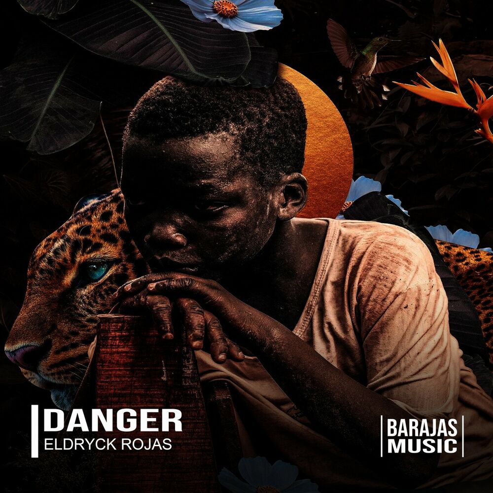 Picture of Danger