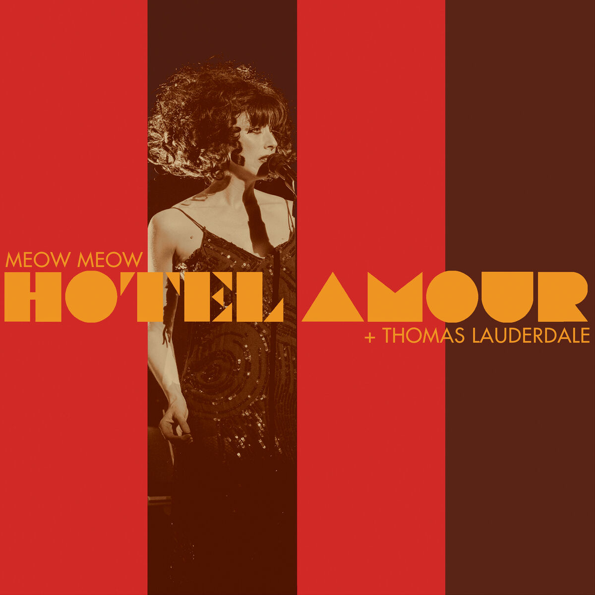 Album cover of Hotel Amour