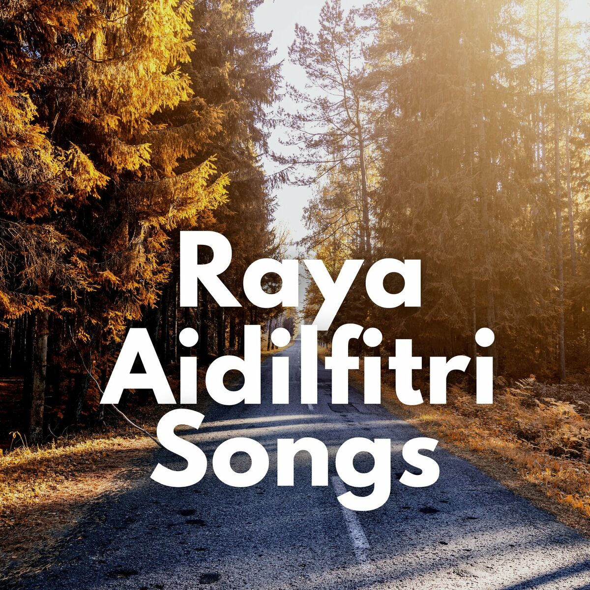 Album cover of Raya Aidilfitri Songs
