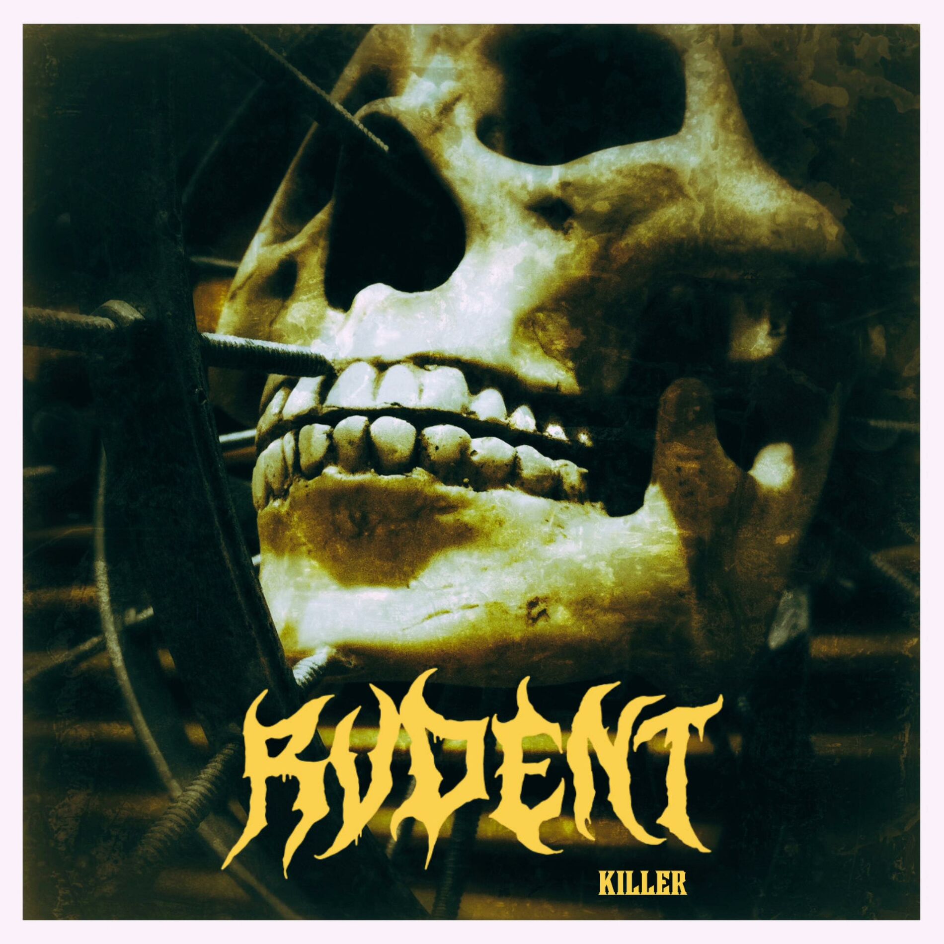 Album cover of killer