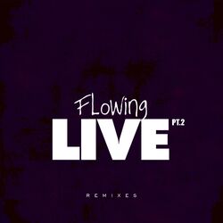 Cover of Flowing Live Pt.2 (Remixes)