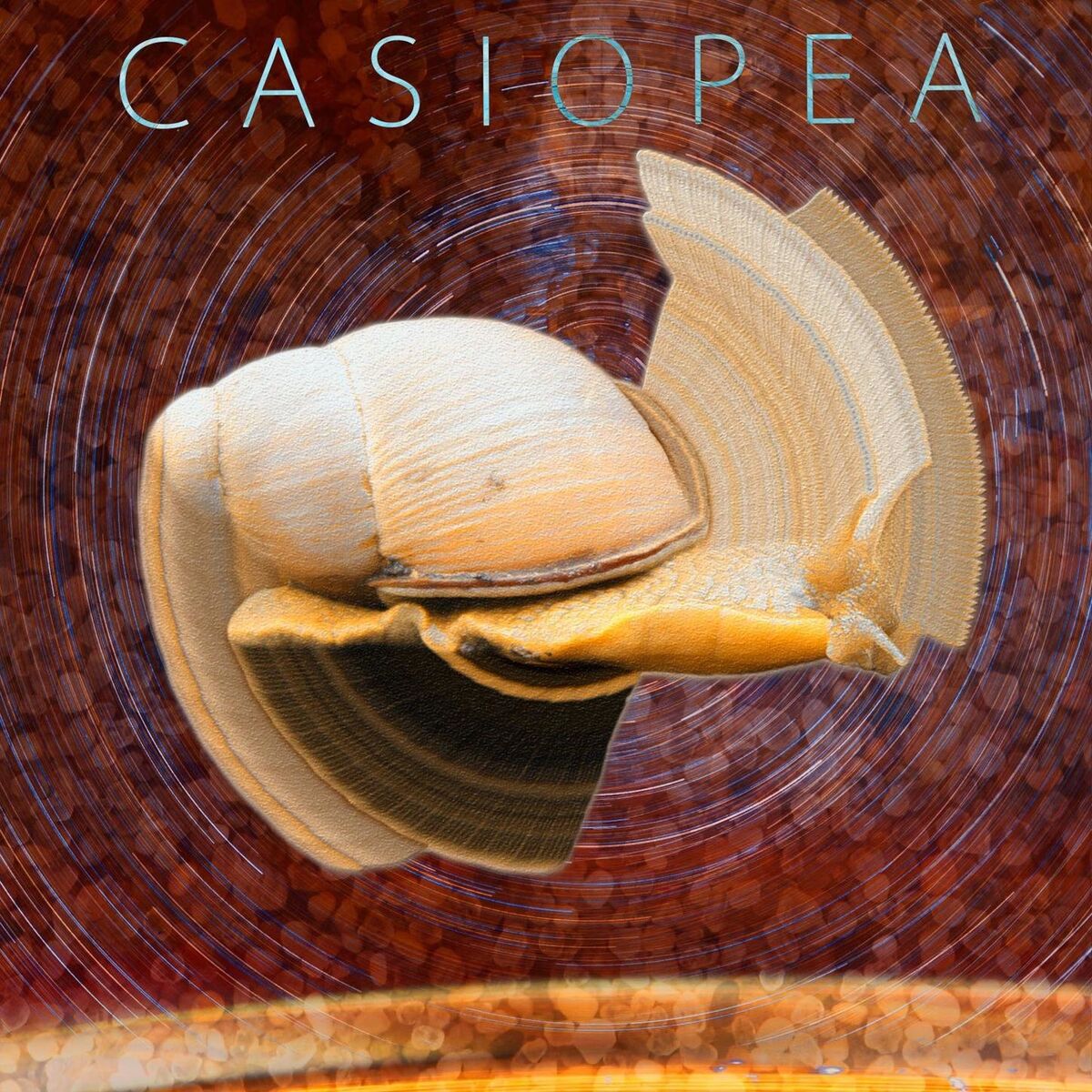 Album cover of Casiopea