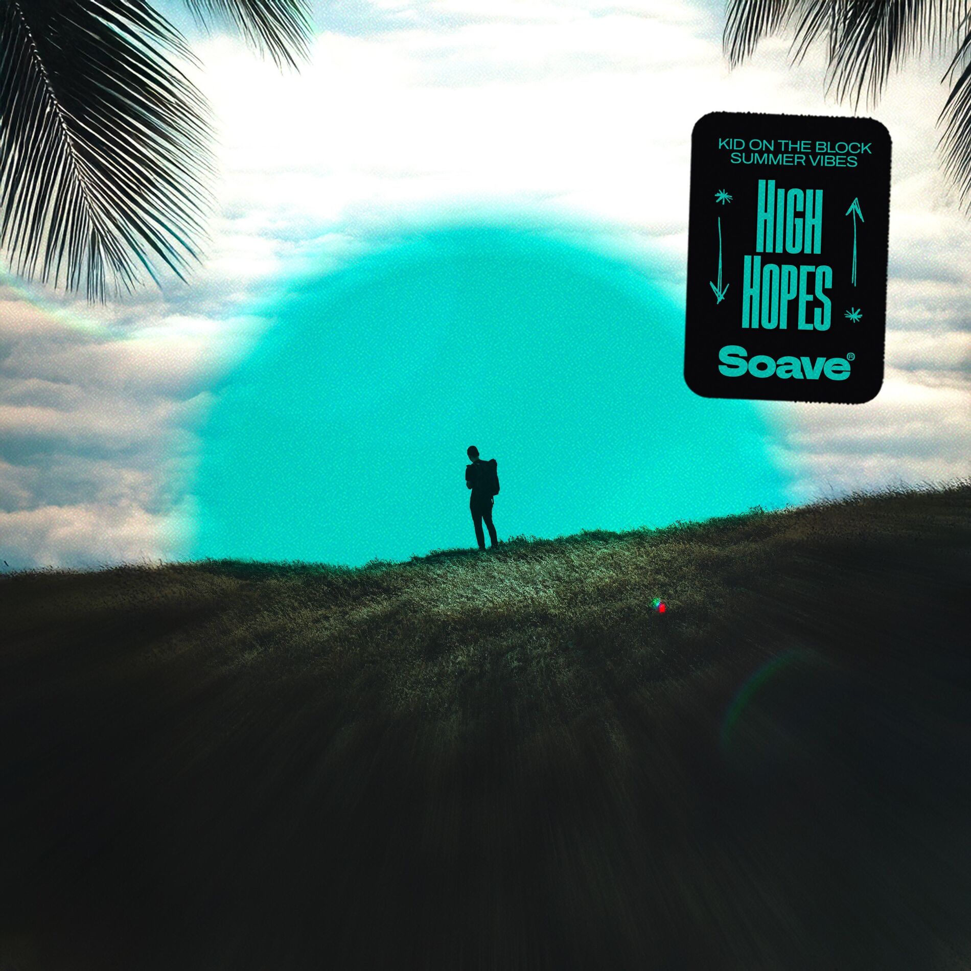 Album cover of High Hopes