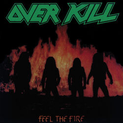 Cover of Feel the Fire