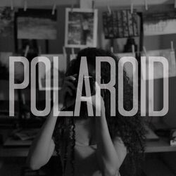 Cover of Polaroid