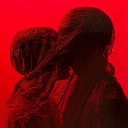 Cover of Slow