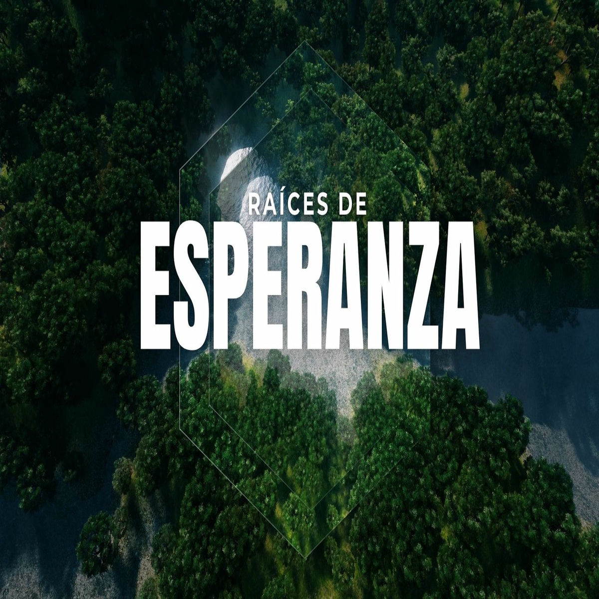 Album cover of Raíces De Esperanza
