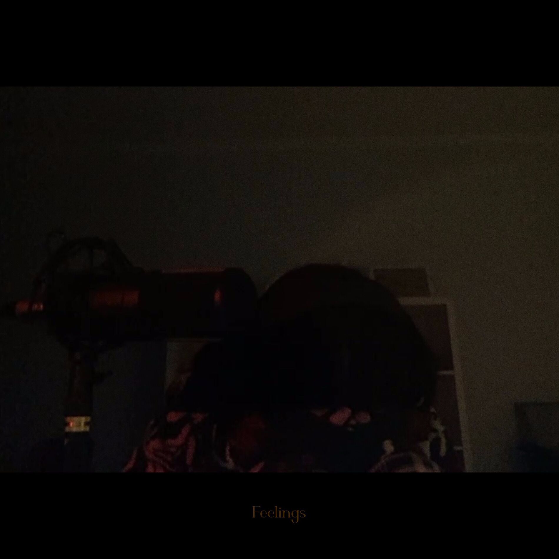 Album cover of Feelings