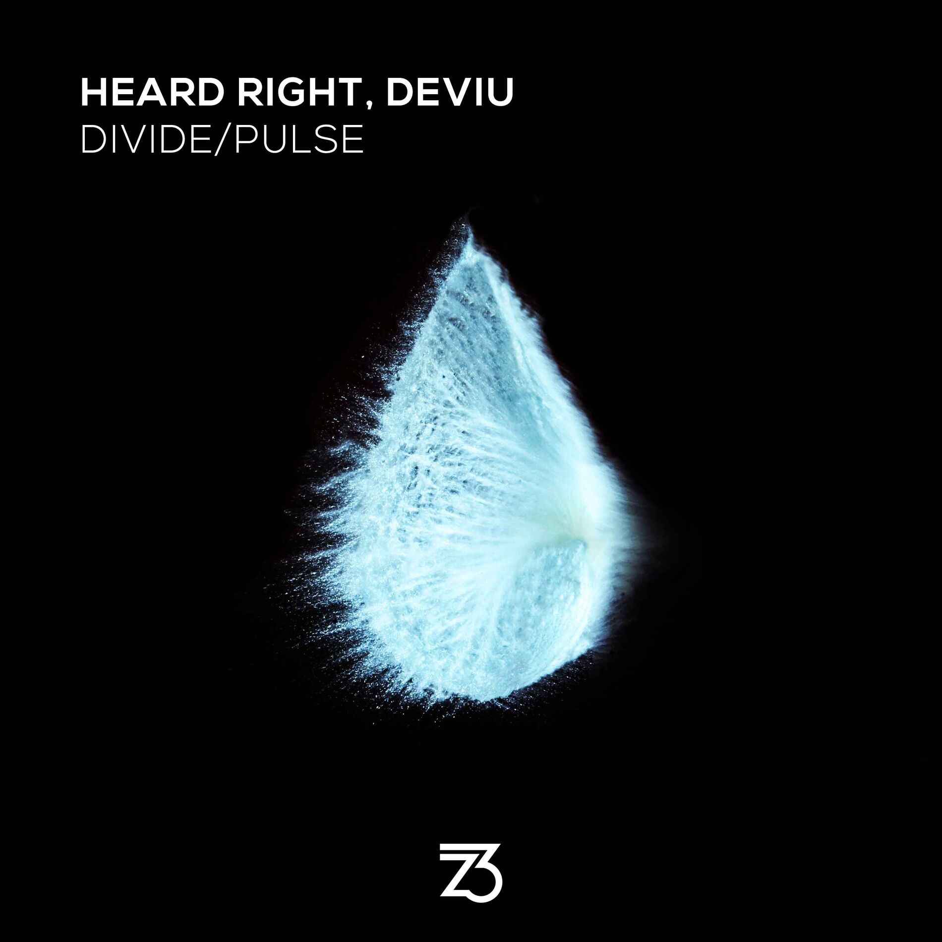 Album cover of Divide/Pulse