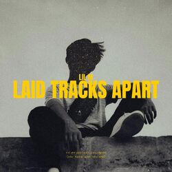 Cover of Laid Tracks Apart