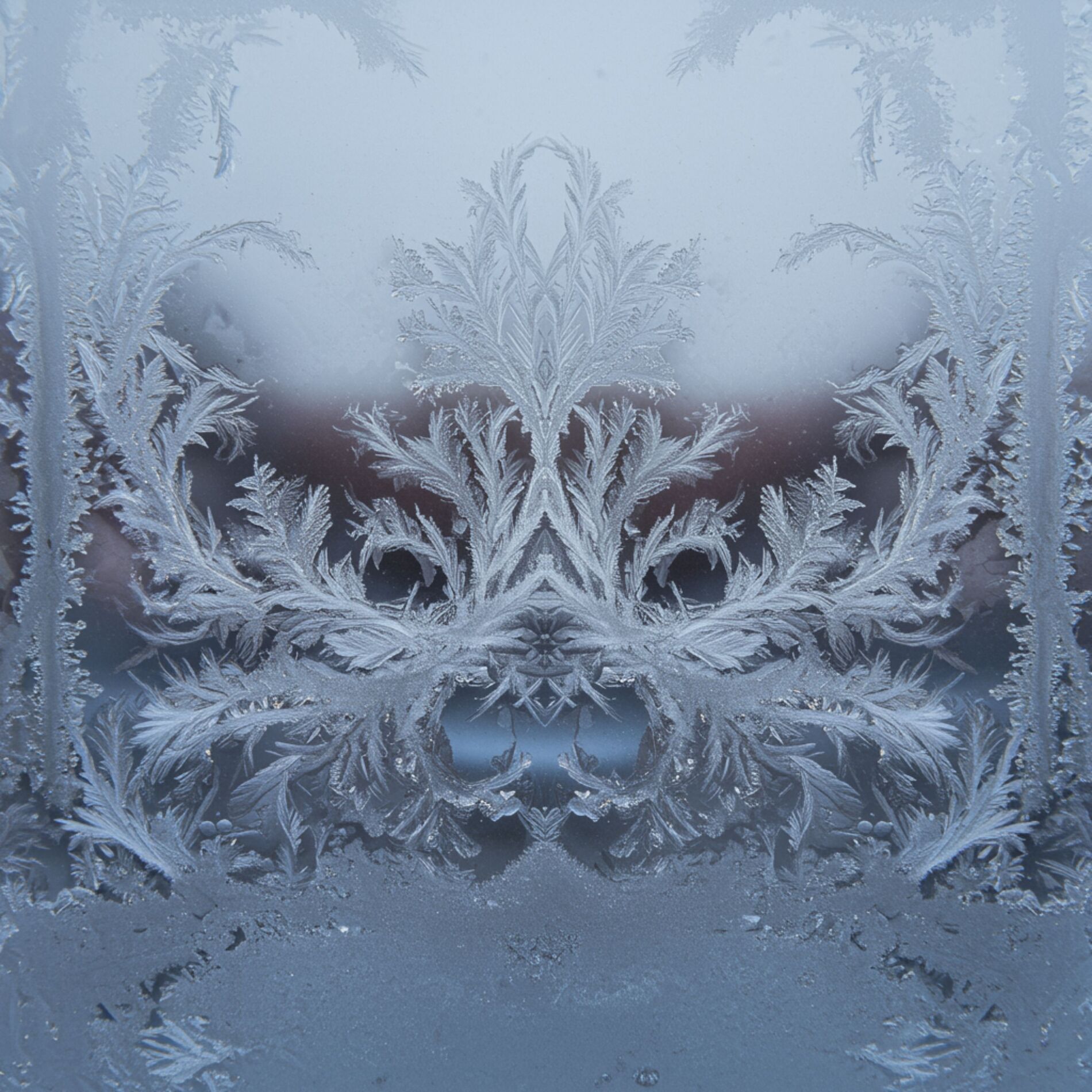 Album cover of Manifestation Frequencies for Infinite Abundance
