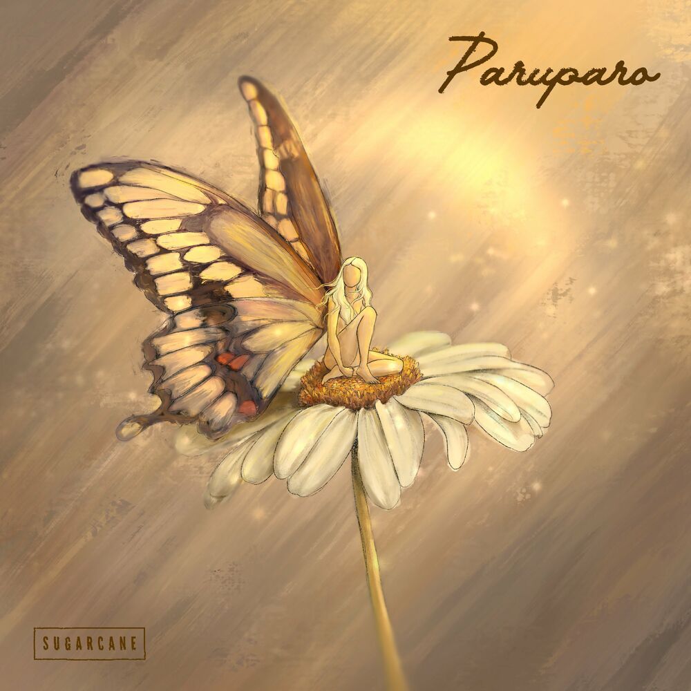 Picture of Paruparo