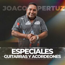Cover of Especiales Guitarras y Acordeones