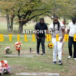 Cover of Still Here