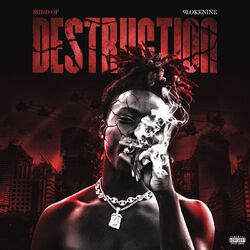 Cover of Mind Of Destruction