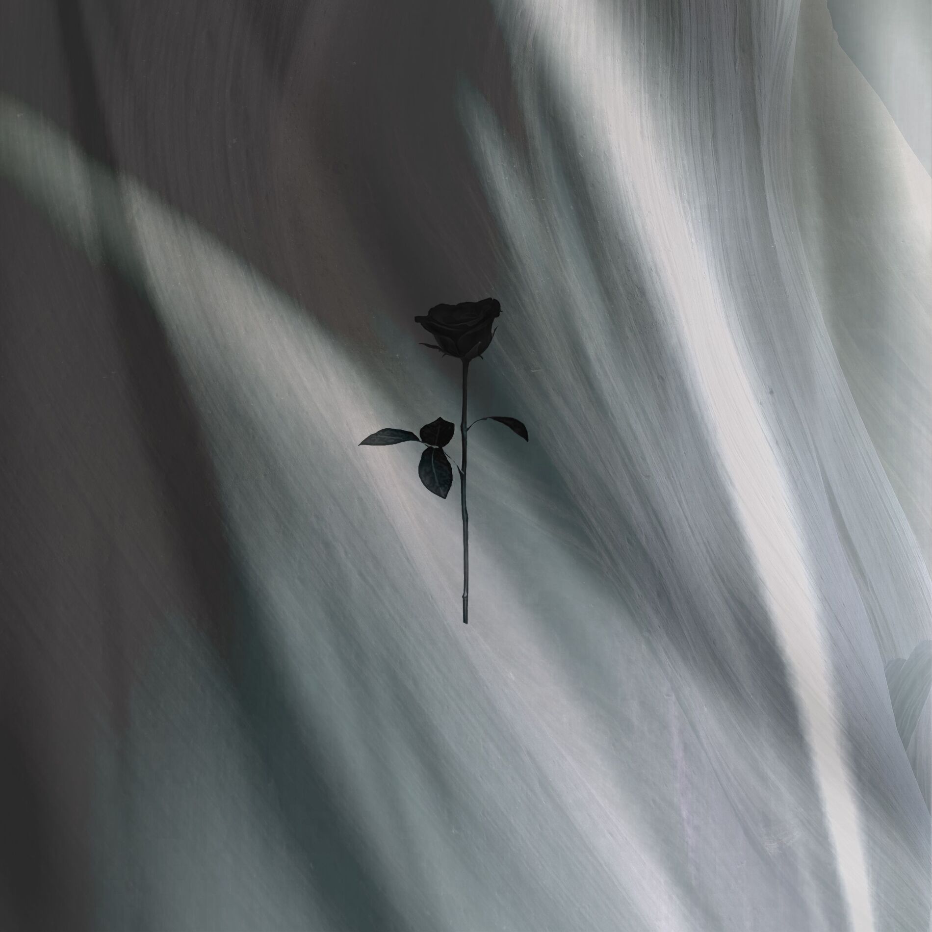 Album cover of Stardust