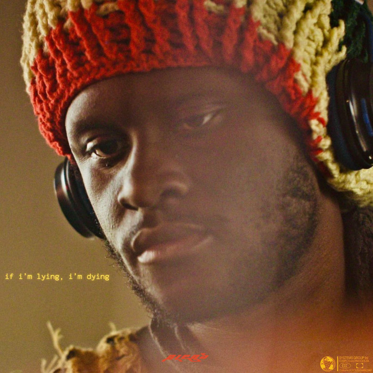Album cover of if i'm lying, i'm dying