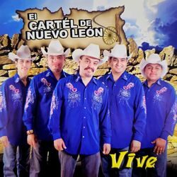 Cover of Vive