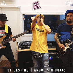 El Destino / &Aacute;rbol Sin Hojas