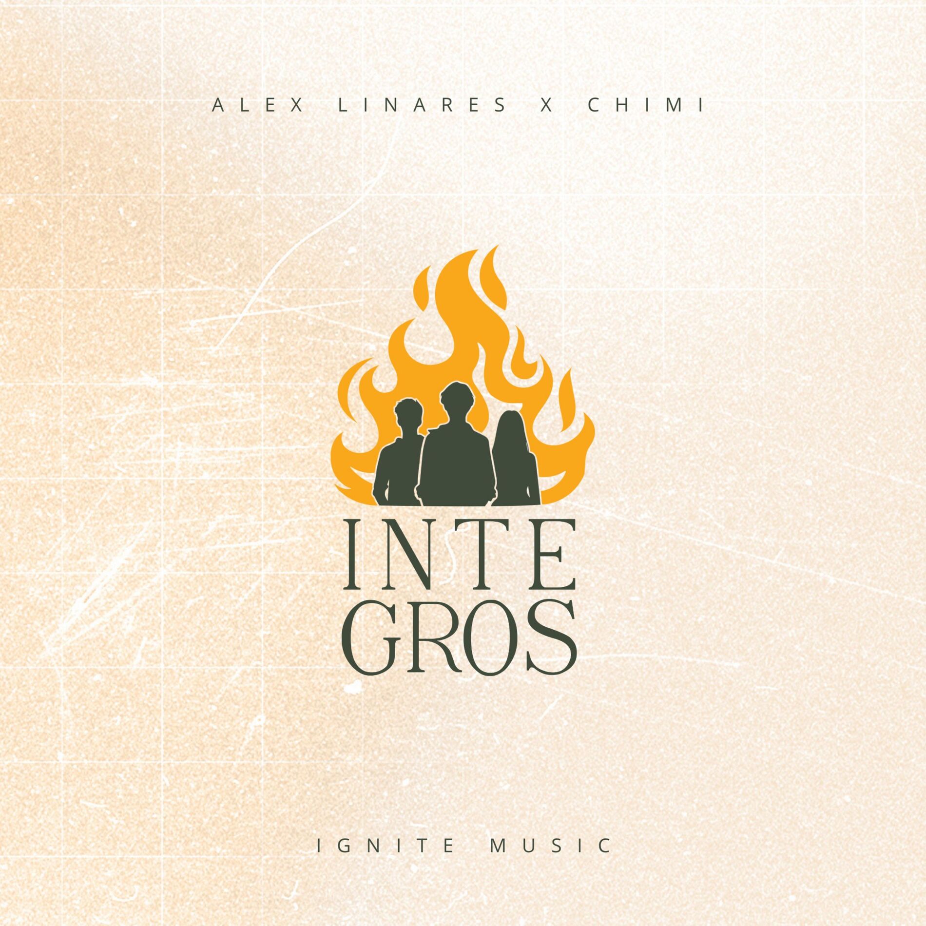 Album cover of Integros
