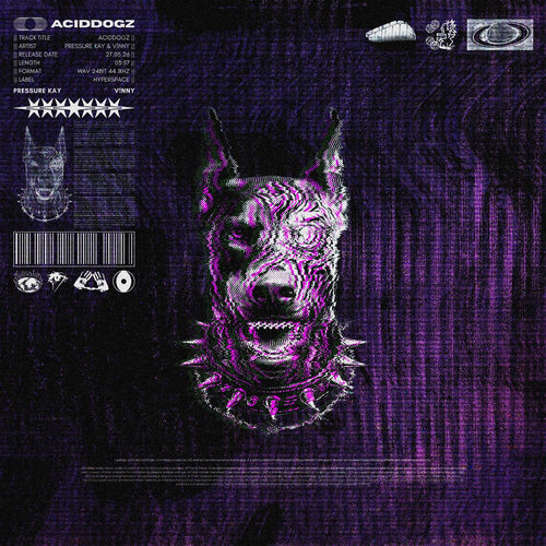 ACIDdogz (feat. V!NNY) artwork