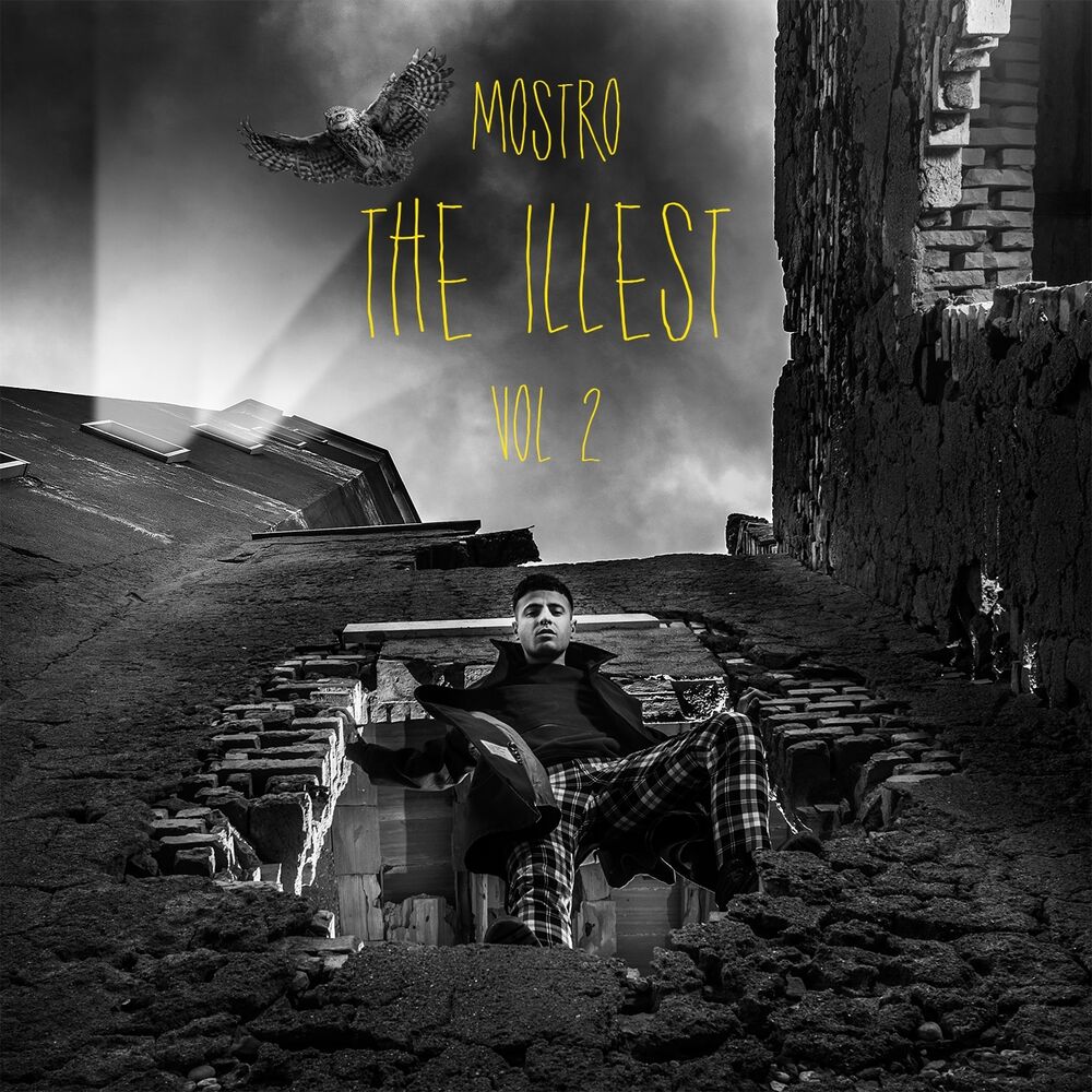 Picture of The Illest, Vol. 2