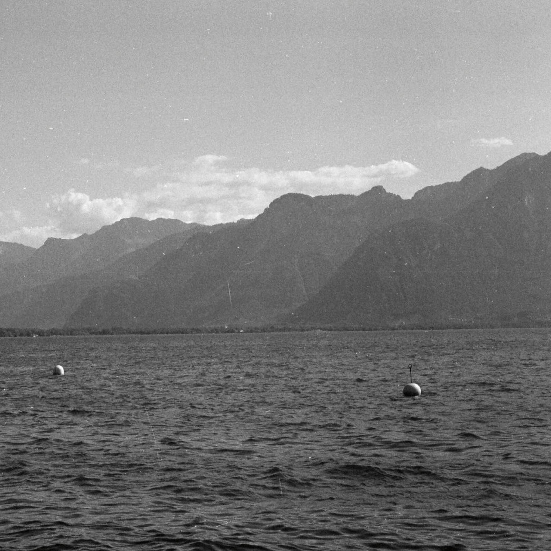 Album cover of Seesea
