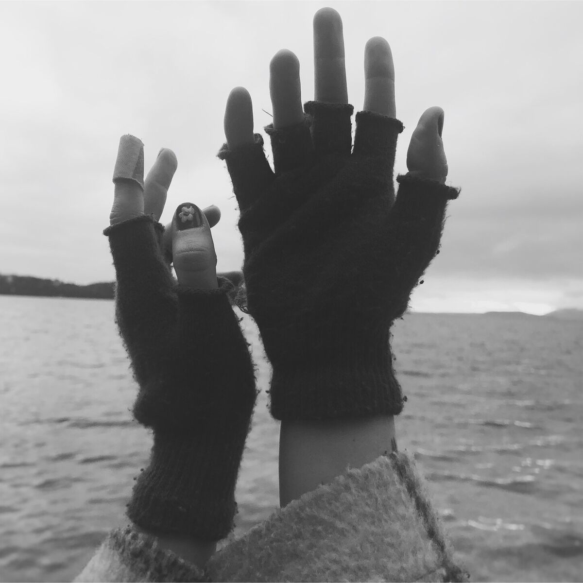 Album cover of Hands