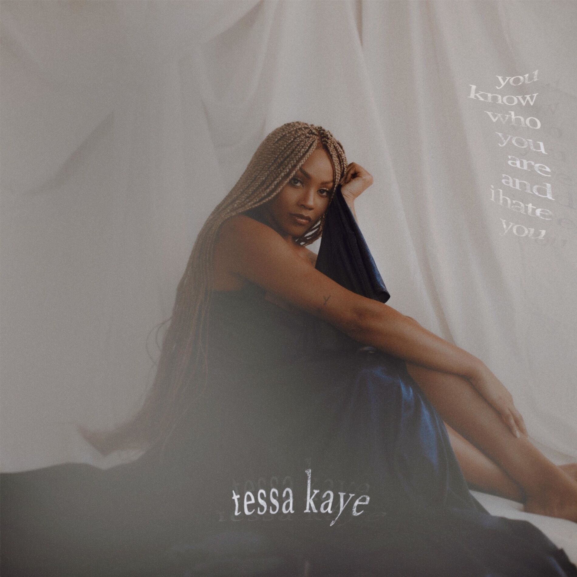 Album cover of You Know Who You Are and I Hate You