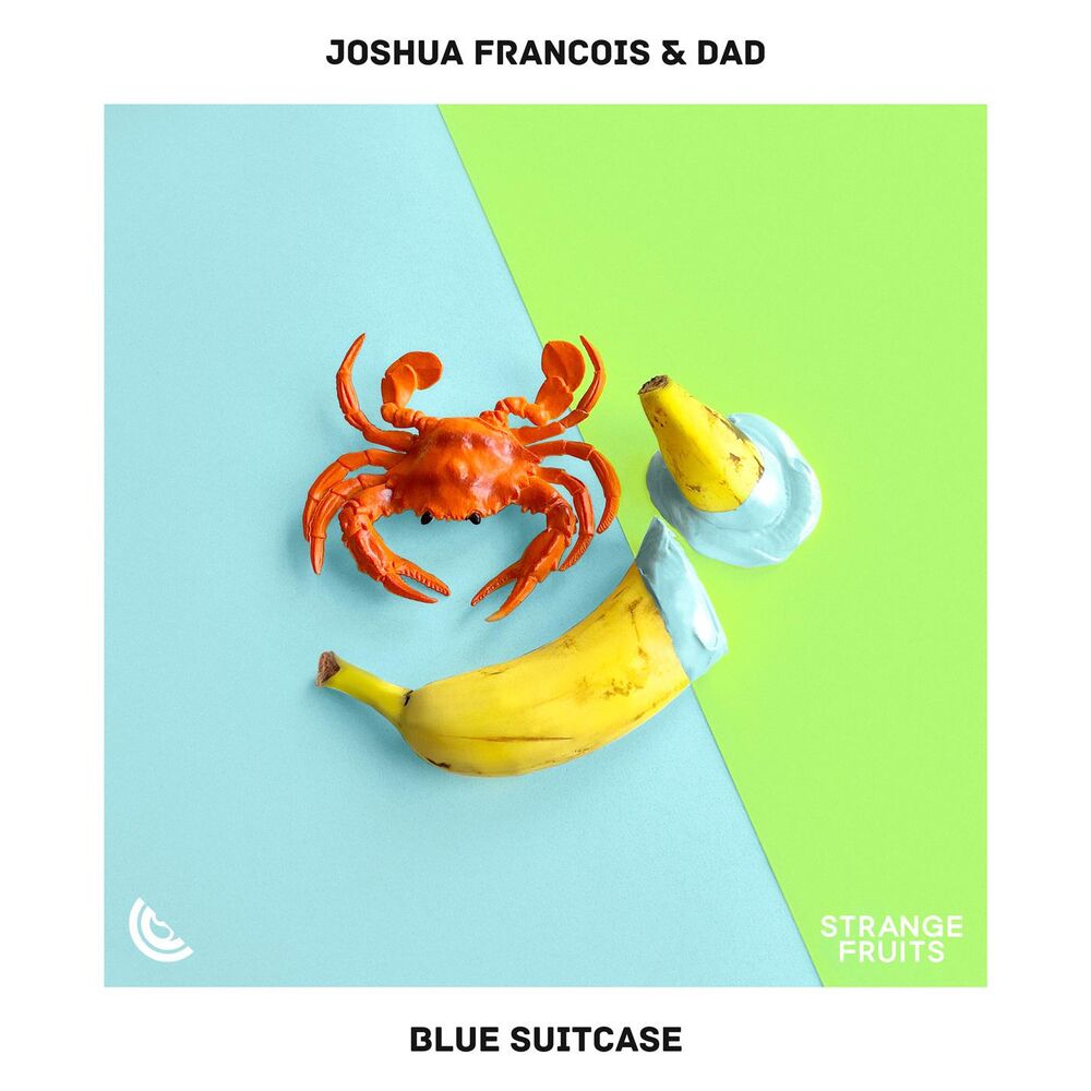 Picture of Blue Suitcase