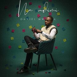 Cover of Na Ndimi