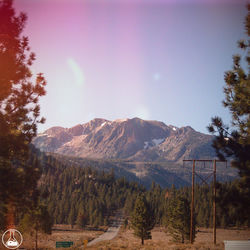 Pochette album