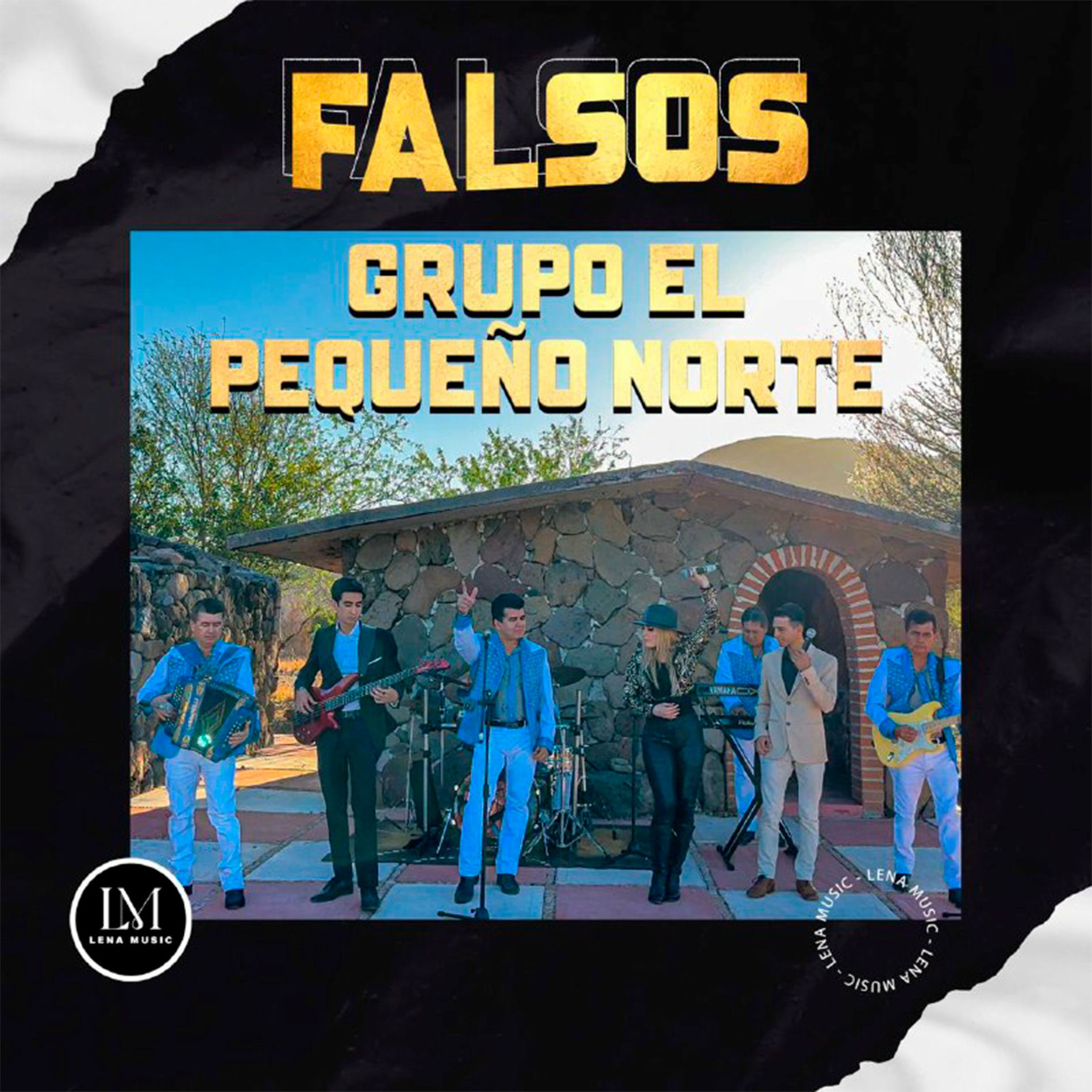 Album cover of Falsos