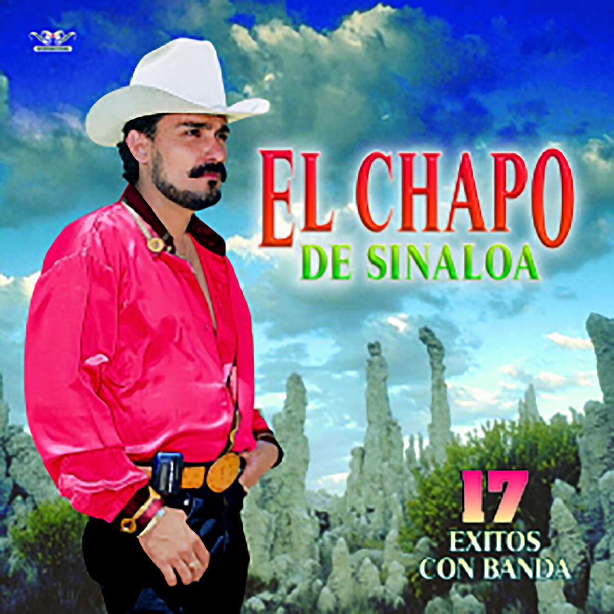 Album cover of 17 Exitos Con Banda
