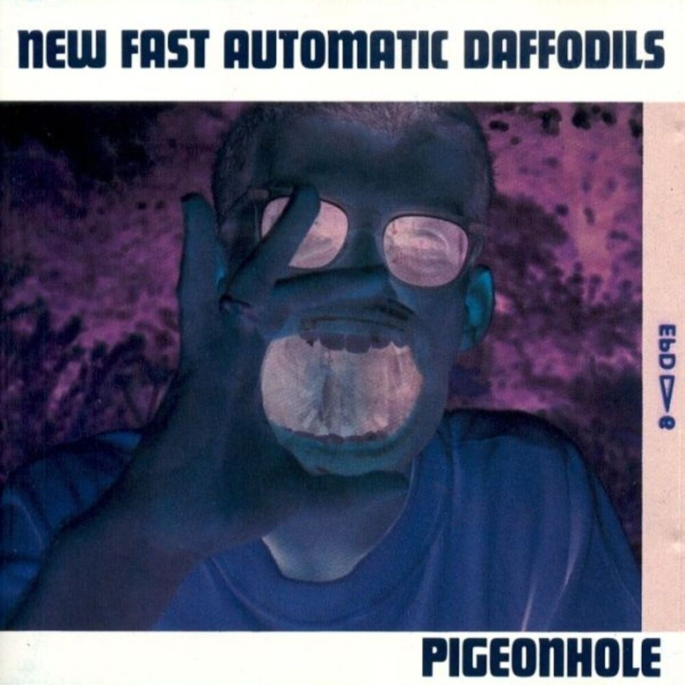 Picture of Pigeonhole