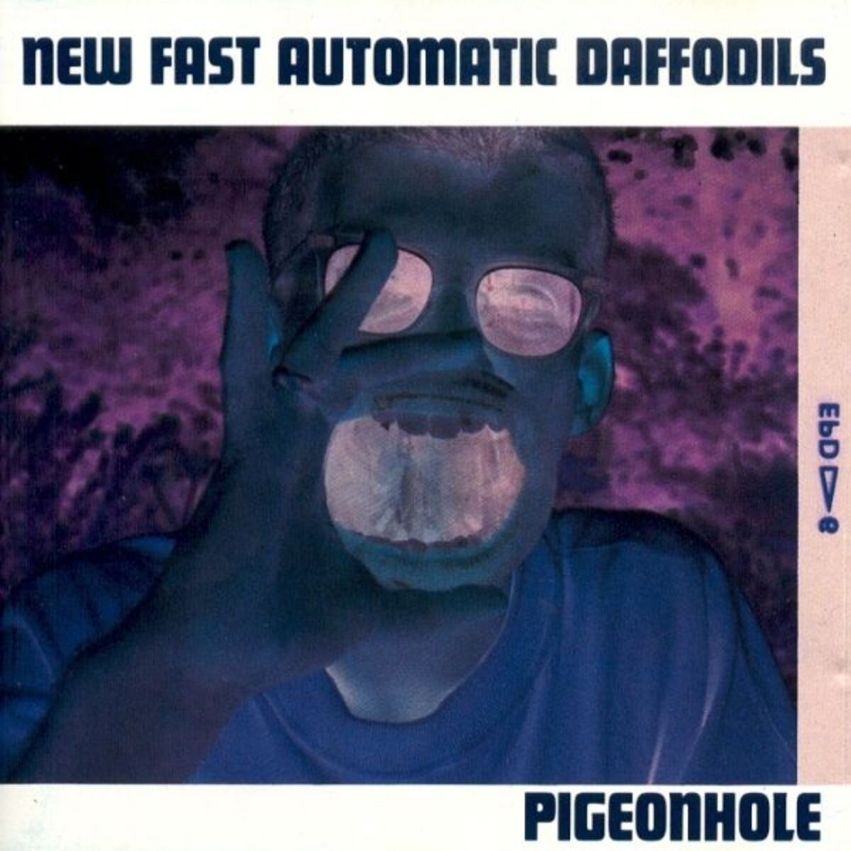 Album cover of Pigeonhole