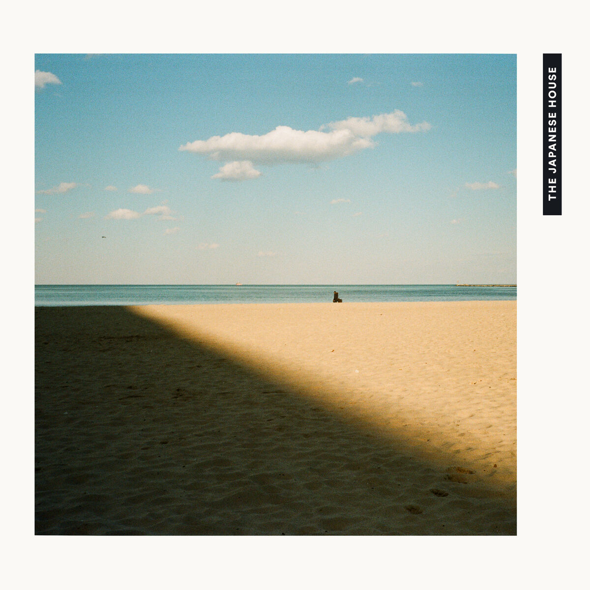 Album cover of Saw You In A Dream