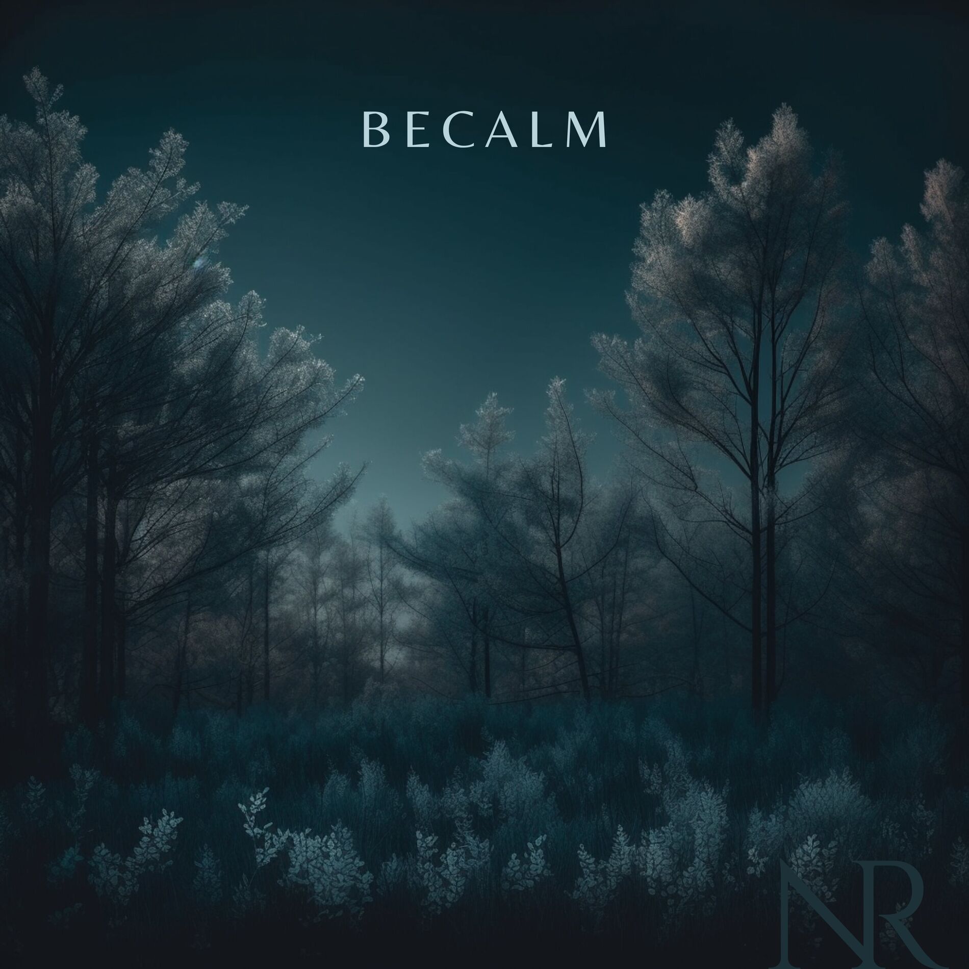 Album cover of Becalm