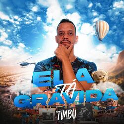 Cover of Ela Tá Grávida