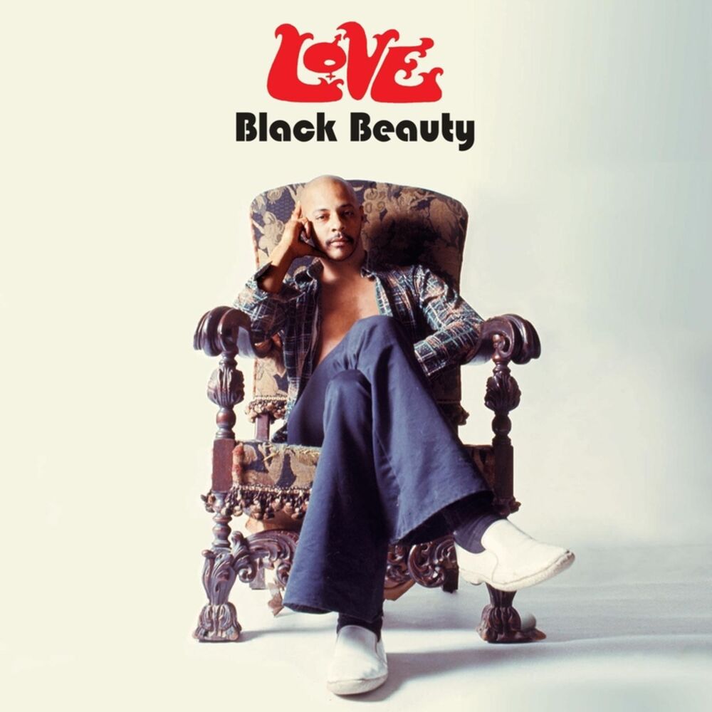 Picture of Black Beauty
