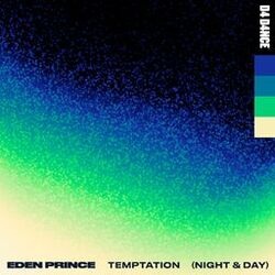 Cover of Temptation (Night & Day)